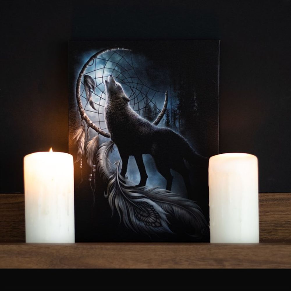 19x25cm From Darkness Canvas Plaque by Spiral Direct N/A