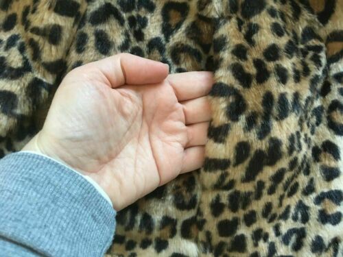 Leopard print hotsell jacket new look