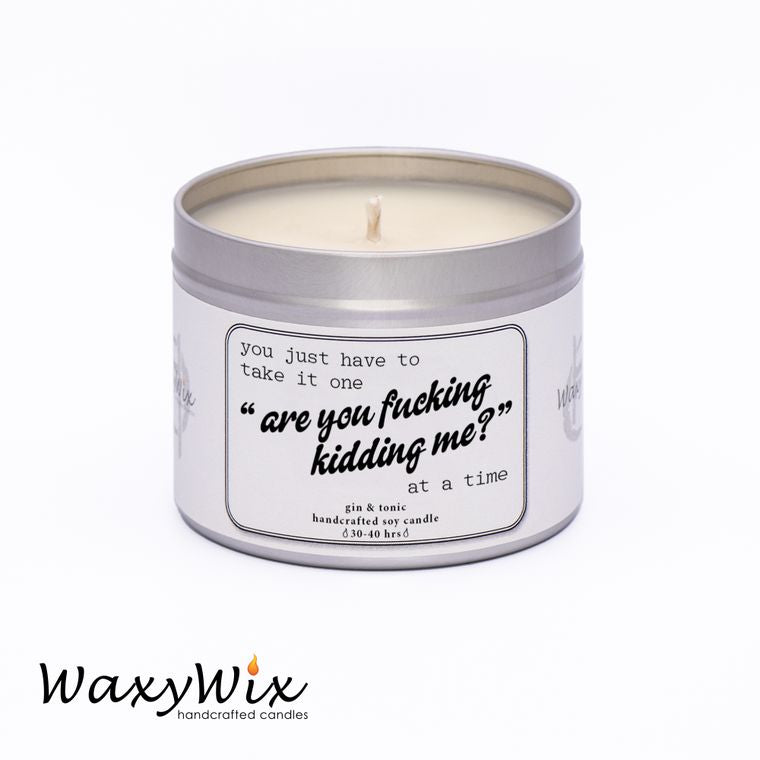 You just have to take it... funny candles for friends- handmade vegan soy wax candle - 225 ml WaxyWix UK