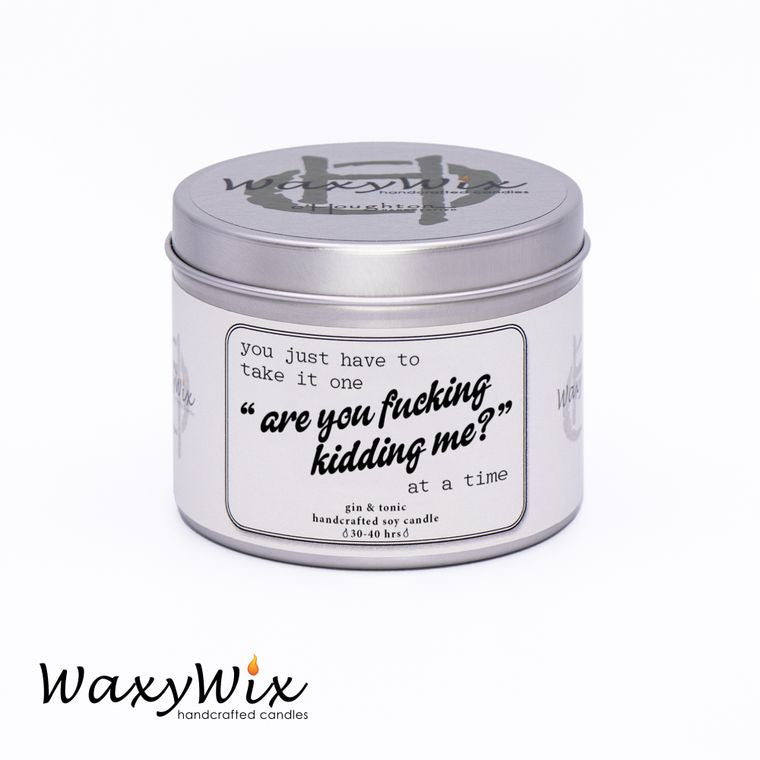 You just have to take it... funny candles for friends- handmade vegan soy wax candle - 225 ml WaxyWix UK